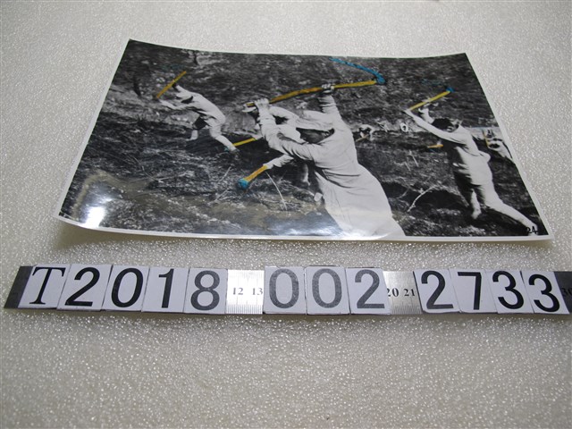 軍隊開荒照片 (共1張)