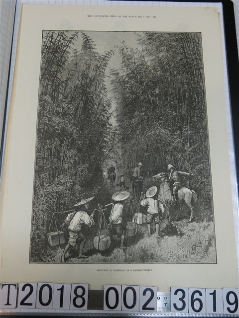 《倫敦新聞畫報》1890年5月3日版臺灣竹林一景 (共1張)