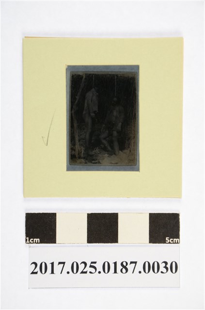 原住民於樹上吊自殺