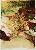 切換圖片按鈕圖示