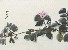 切換圖片按鈕圖示