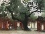 切換圖片按鈕圖示