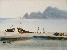 切換圖片按鈕圖示