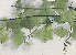 切換圖片按鈕圖示