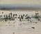 切換圖片按鈕圖示