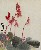 切換圖片按鈕圖示