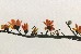 切換圖片按鈕圖示