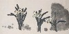 切換圖片按鈕圖示