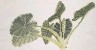 切換圖片按鈕圖示