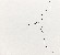 切換圖片按鈕圖示
