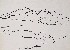 切換圖片按鈕圖示