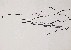 切換圖片按鈕圖示