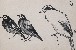 切換圖片按鈕圖示