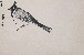 切換圖片按鈕圖示