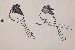 切換圖片按鈕圖示