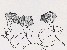 切換圖片按鈕圖示