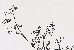 切換圖片按鈕圖示