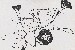 切換圖片按鈕圖示