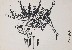 切換圖片按鈕圖示