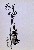 切換圖片按鈕圖示