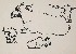 切換圖片按鈕圖示