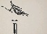 切換圖片按鈕圖示