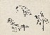切換圖片按鈕圖示