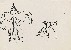切換圖片按鈕圖示