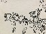 切換圖片按鈕圖示
