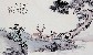 切換圖片按鈕圖示