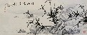切換圖片按鈕圖示