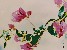 切換圖片按鈕圖示