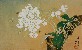 切換圖片按鈕圖示