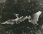 切換圖片按鈕圖示