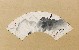 切換圖片按鈕圖示