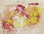 切換圖片按鈕圖示
