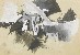 切換圖片按鈕圖示