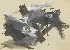 切換圖片按鈕圖示