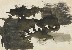 切換圖片按鈕圖示