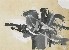 切換圖片按鈕圖示