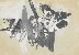 切換圖片按鈕圖示