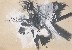 切換圖片按鈕圖示
