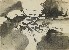 切換圖片按鈕圖示