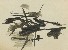 切換圖片按鈕圖示