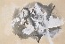 切換圖片按鈕圖示