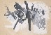 切換圖片按鈕圖示