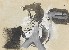 切換圖片按鈕圖示