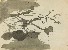 切換圖片按鈕圖示