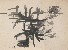 切換圖片按鈕圖示