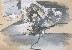 切換圖片按鈕圖示